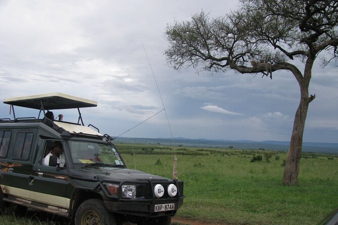 Ultimate 12 Days Private Safari Tour in Kenya and Tanzania - Day 8: Ngorongoro Crater packs wildlife into one day