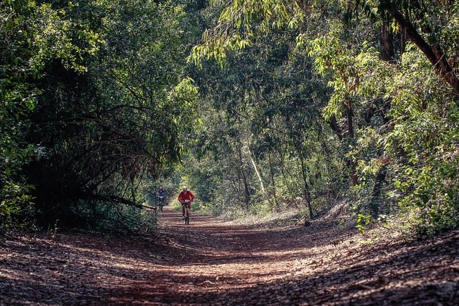 Urban Forest Tour in Nairobi - Why Karura Forest makes a good Nairobi break