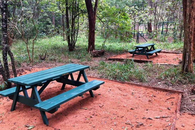 Urban Forest Tour in Nairobi - Choosing between an early walk and a late afternoon outing