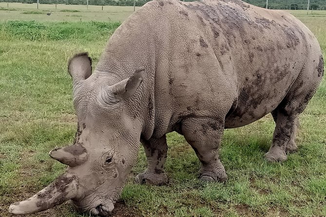 Vegans special safari - What this 12-day vegan safari really involves