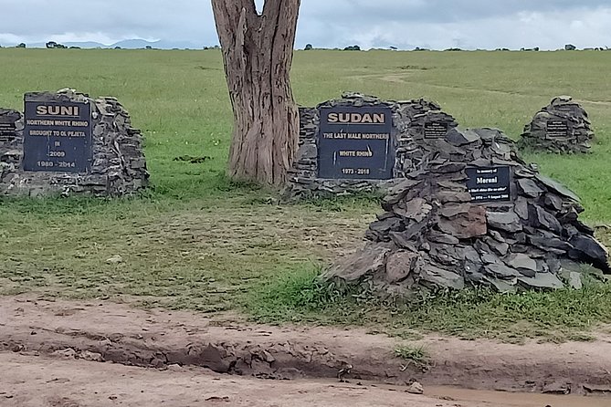 Vegans special safari - Maasai Mara, from the Rift Valley to the Mara River