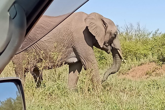 Vegans special safari - Lake Nakuru for rhinos, flamingos, and a waterfall