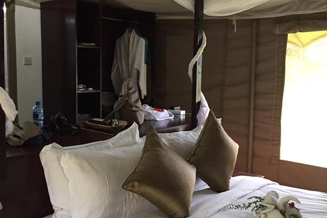 Vegans special safari - Tsavo East and the final flight from Mombasa