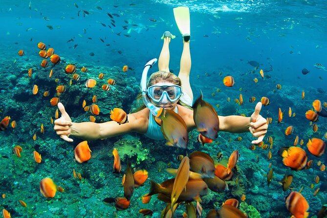 Wasini Dolphin Snorkeling - From Mombasa to Shimoni before breakfast