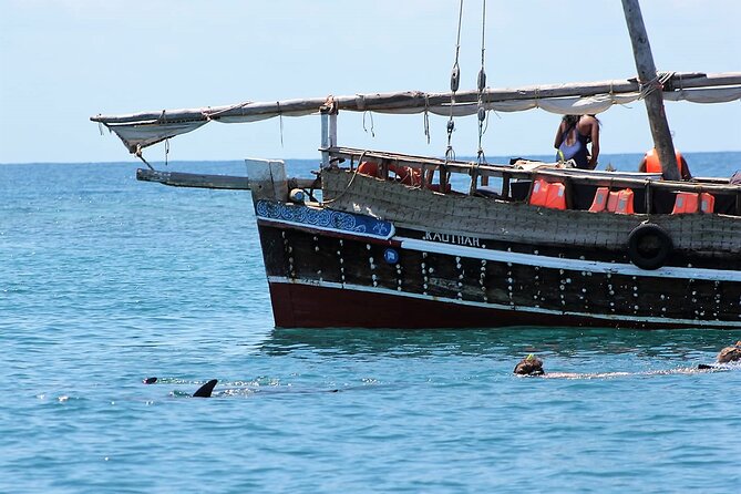 Wasini Dolphin Snorkeling - Snorkeling in Kisite Mpunguti Marine Park