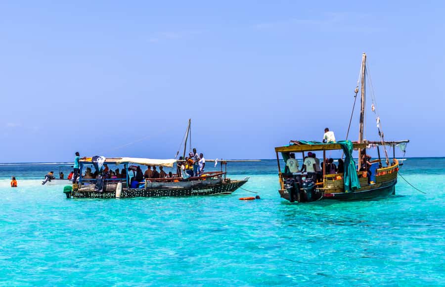 Wasini Island: Dolphin Spotting & Snorkel at Kisite Mpunguti - From your hotel to the Kenyan coast