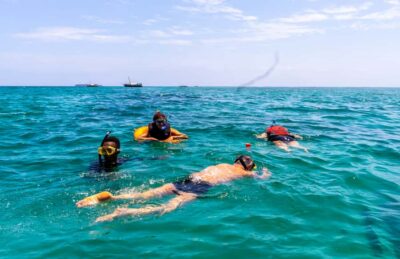 Wasini Island: Dolphin Spotting & Snorkel at Kisite Mpunguti