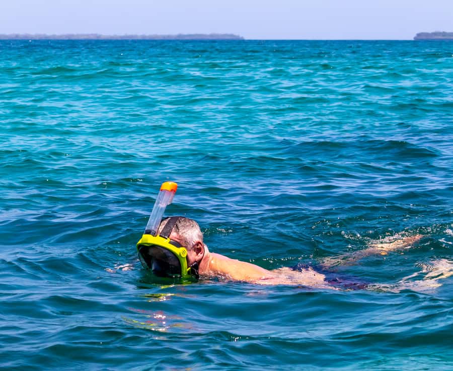 Wasini Island: Dolphin Spotting & Snorkel at Kisite Mpunguti - The Shimoni caves and the harder history of the coast