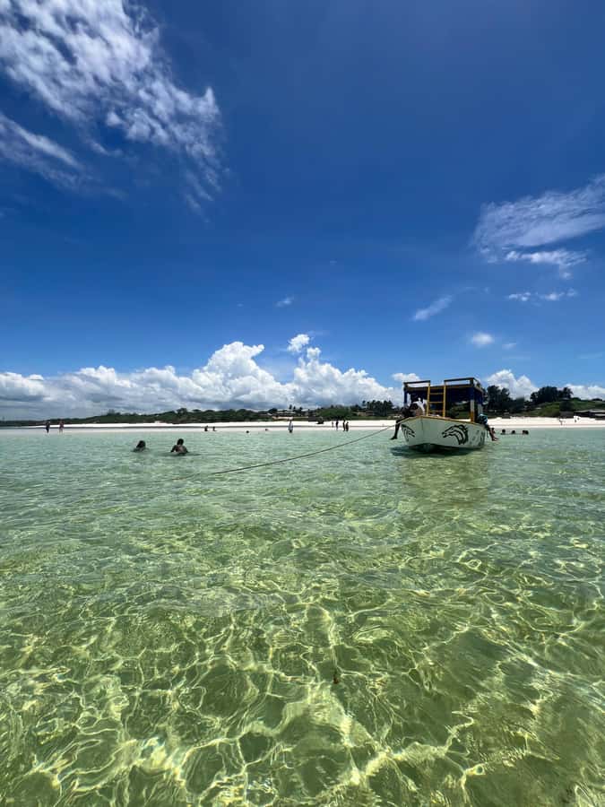 WATAMU: MALINDI: SARDEGNA ISLAND & MALINDI MARINE PARK - Key points to know before booking