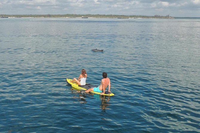 Watamu Marine Park & Sudi Island Mangrove Forest Canoe Ride.With sea food lunch - Leaving Mombasa for Watamu’s coast