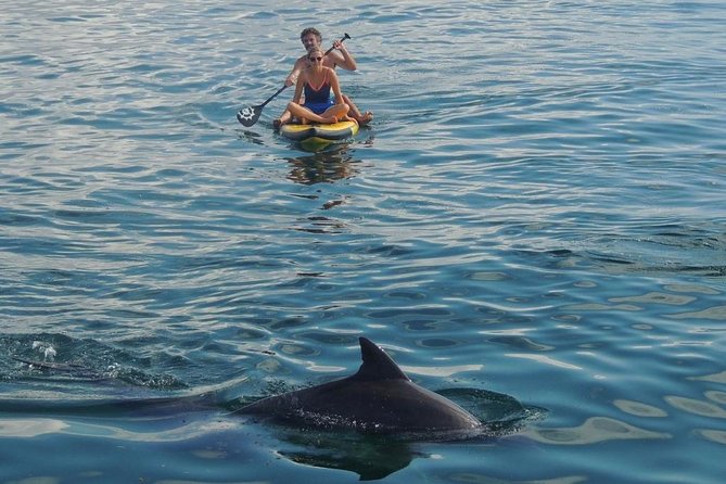 Watamu Marine Park & Sudi Island Mangrove Forest Canoe Ride.With sea food lunch - Snorkeling conditions and realistic expectations