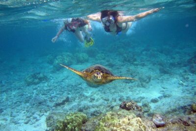Watamu Marine Park & Sudi Island Mangrove Forest Canoe Ride.With sea food lunch