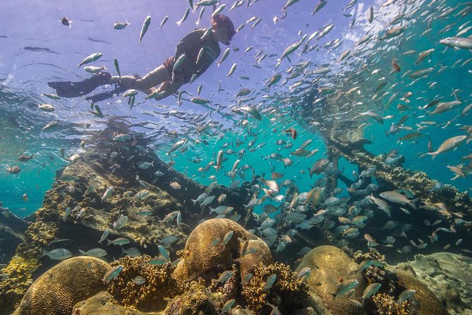 Watamu Marine Park & Sudi Island Mangrove Forest Canoe Ride.With sea food lunch - A seafood lunch on the beach