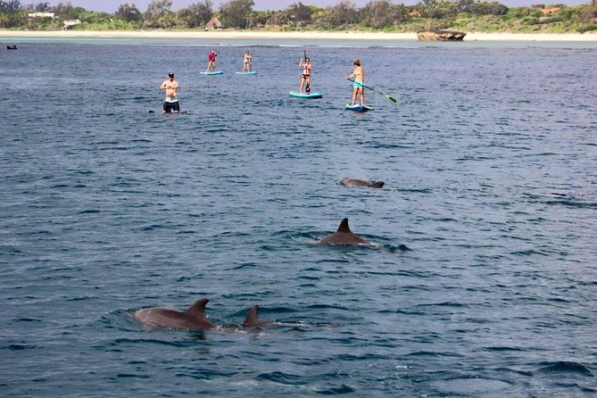 Watamu Marine Park & Sudi Island Mangrove Forest Canoe Ride.With sea food lunch - What the $101.05 price really covers
