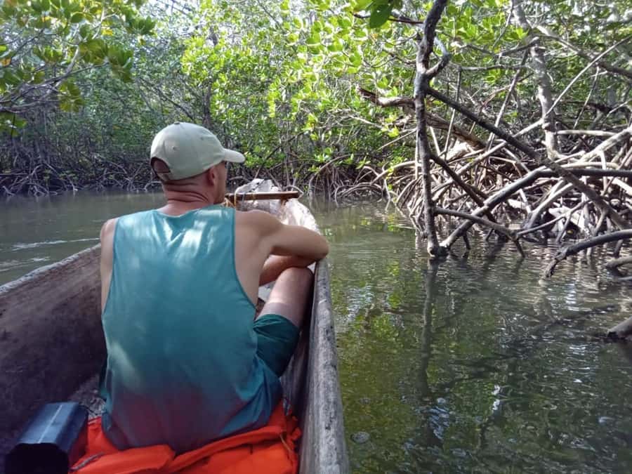 Watamu: Sunset Mangrove Canoe Tour with Coconut Drink - What to bring for mud, sun, and insects