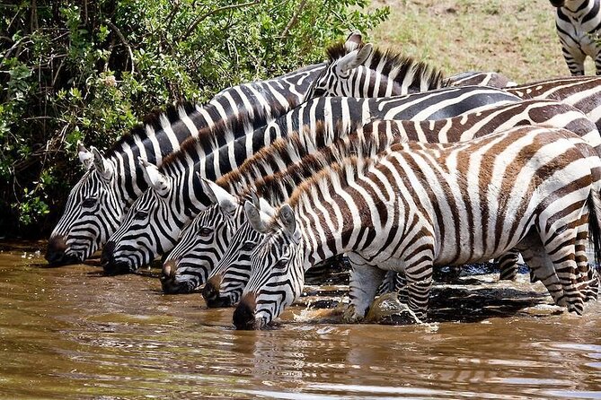 Wildebeest Migration in Masai Mara and Sightseeing 4 Days Tour - From Nairobi to the Great Rift Valley viewpoint